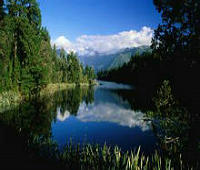 数字创新前沿探索：海角官网入口利用AI智能分析实现用户行为大数据精准解读案例