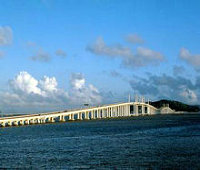 含羞草影视官网新趋势：解读含羞草官网进入流程及官网app背后的技术革新