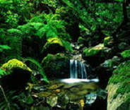 专家解读｜果冻传媒tv应用实操：如何通过果冻传媒在线精选快速定位免费观看完整版资源