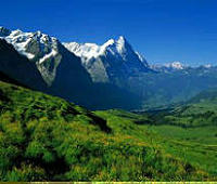 每日大赛在线免费观看平台体验改进与互动服务提升策略研究：界面优化、实时弹幕与数据反馈如何不断进化